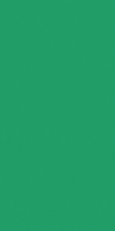 5005