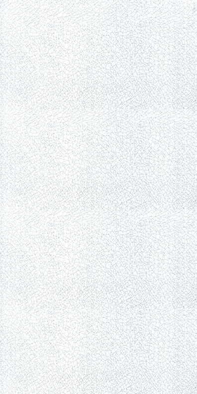 9019